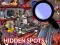Игра Hidden Spots In The Room онлајн