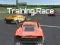 Игра Training Race онлајн