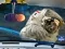Игра Space Find The Differences онлајн
