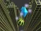 Игра Marble Rolling Stunt онлајн