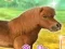 Игра My Dear Pony онлајн