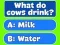 Игра Trivia Best Family Quiz онлајн
