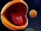 Игра Pac-Man 3d онлајн