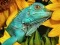 Игра Ultimate Puzzles Animals 6 онлајн