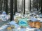 Игра Winter Wonderland Forest Adventure онлајн