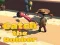Игра Catsh the robber онлајн