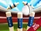 Игра Mini Cricket: Ground Championship World Cup 2019 онлајн