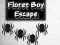 Игра Floret Boy Escape онлајн