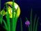 Игра Flash Fish Freddie онлајн