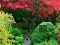 Игра Maple Leaf Garden Escape онлајн