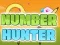 Игра Number Hunter онлајн
