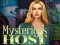 Игра Mysterious host онлајн