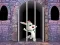 Игра Victory Rabbit Escape онлајн