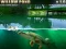 Игра Willow Pond онлајн
