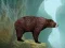 Игра Caged Tiger Cub Escape онлајн