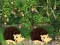 Игра Escape From Mango Farm онлајн