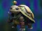 Игра Isolated Turtle Escape онлајн