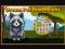 Игра Dream Pet Dimensions онлајн