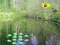 Игра Sunlight Forest Adventure онлајн