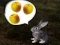 Игра The Foggy Forest онлајн