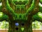 Игра Frenzy Crocodile Escape онлајн
