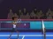 Игра Badminton Brawl онлајн