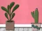 Игра Find Houseplant онлајн