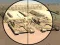 Игра Camo Sniper онлајн
