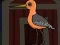 Игра Cute Godwit Escape онлајн