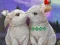 Игра Rescue The Cupid онлајн