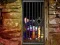 Игра Hidden Cat Escape онлајн