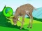 Игра The Deer Meadow Escape онлајн