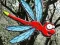 Игра Escape From Dragonfly Forest онлајн