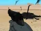 Игра Weapon онлајн
