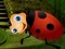 Игра Rescue The Couple Bug онлајн