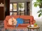 Игра Wakeup The Grandpa онлајн