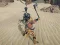 Игра The Scythian Warrior онлајн