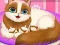 Игра Cute Kitty Pregnant онлајн