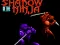 Игра Shadow of the Ninja онлајн