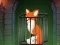 Игра Fox in the Forgotten Ruins онлајн