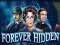 Игра Forever Hidden онлајн
