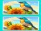 Игра Spot the Difference The Garden онлајн