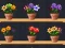 Игра Good Flower Master онлајн