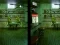 Игра Robot Bar Spot the differences онлајн