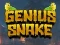 Игра Genius Snake онлајн