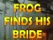 Игра Frog Finds His Bride онлајн