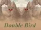 Игра Double Bird онлајн