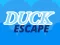 Игра Duck Escape онлајн