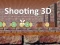 Игра Shooting 3D онлајн