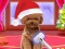 Игра Christmas ASMR Makerover Salon онлајн